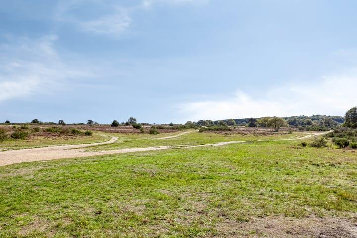 Photo 38 of Bosdrift 225