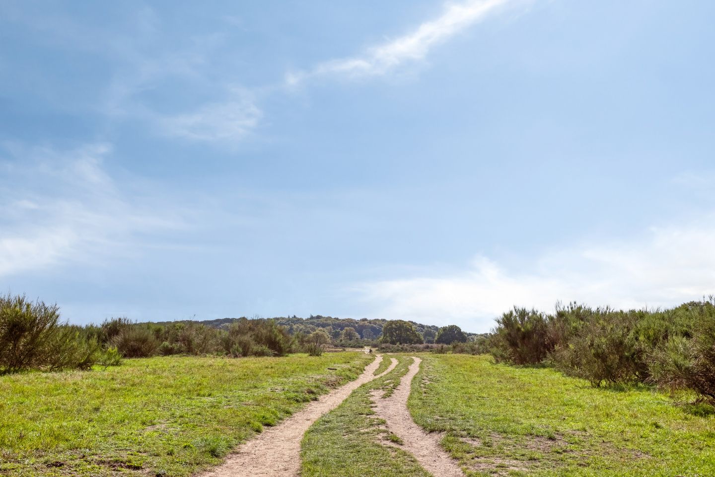 Foto 40 van Bosdrift 225