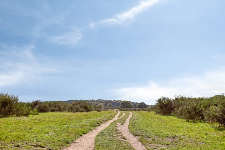 Photo 40 of Bosdrift 225