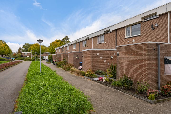 Foto 4 van Botter 22 40