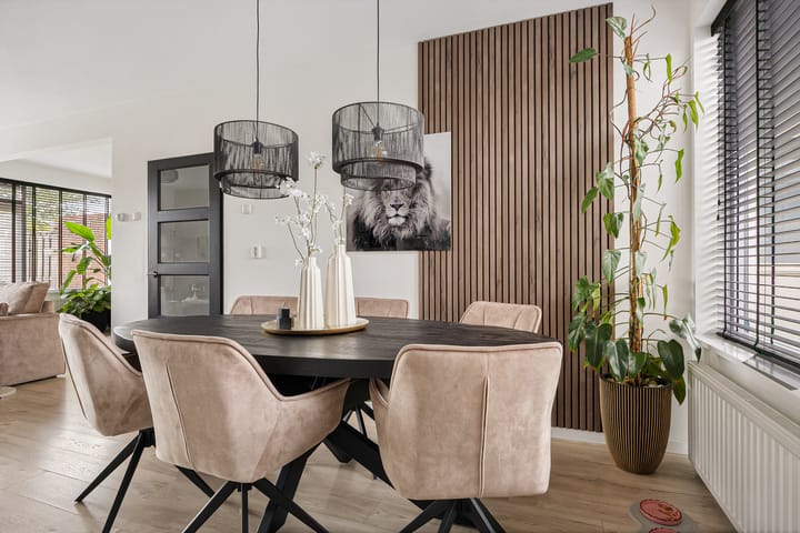 Foto 10 van Botter 22 40