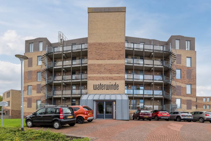 Photo 4 of Fuutmesschen 61