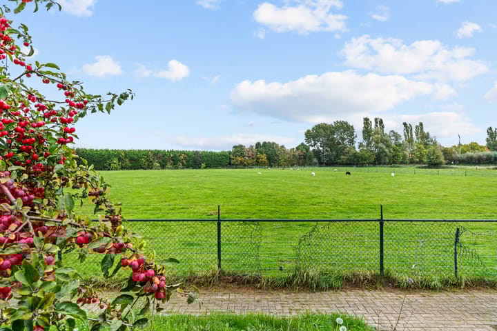 Foto 24 van De Kleefse Kamp 78