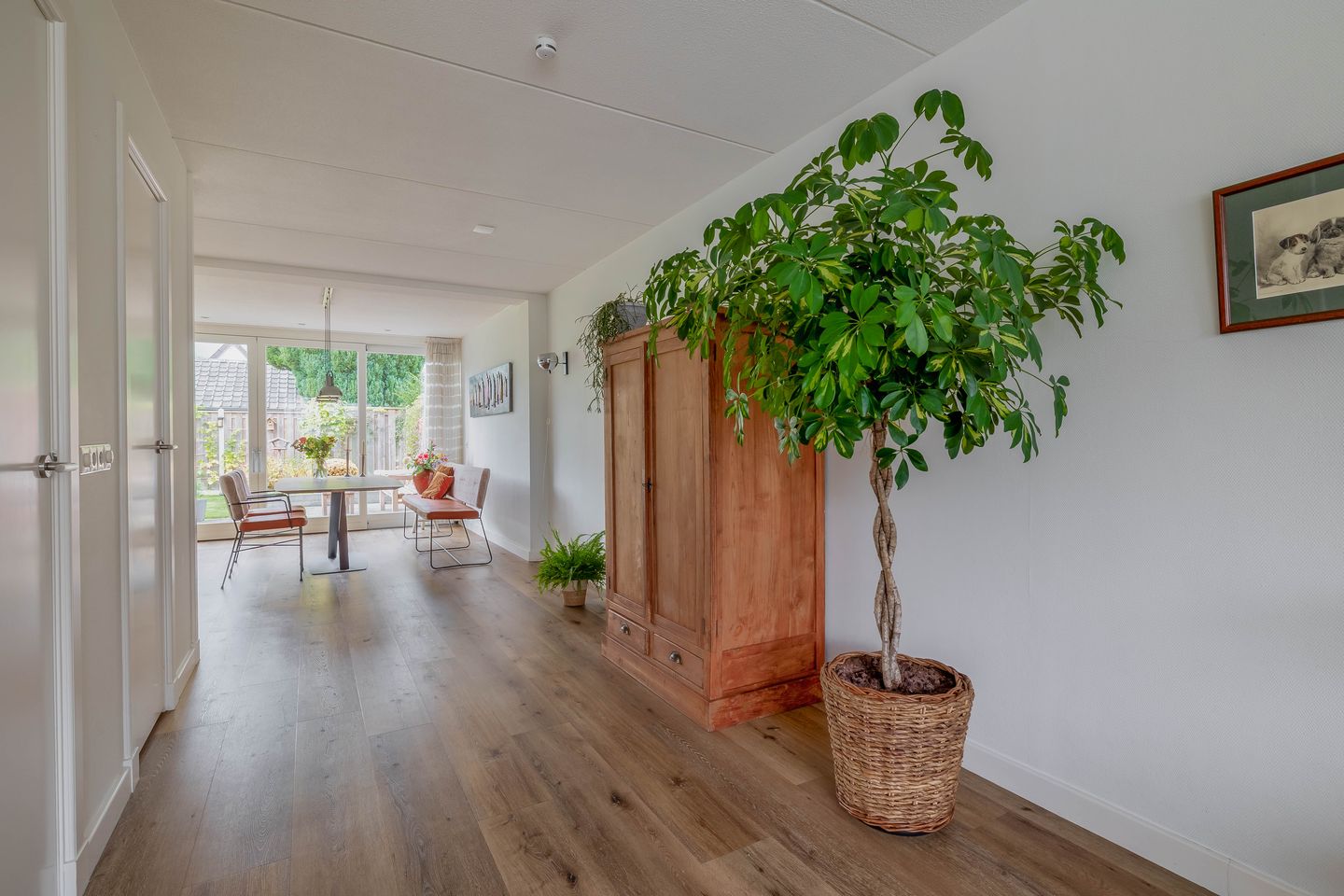 Foto 10 van W. Dassenstraat 5