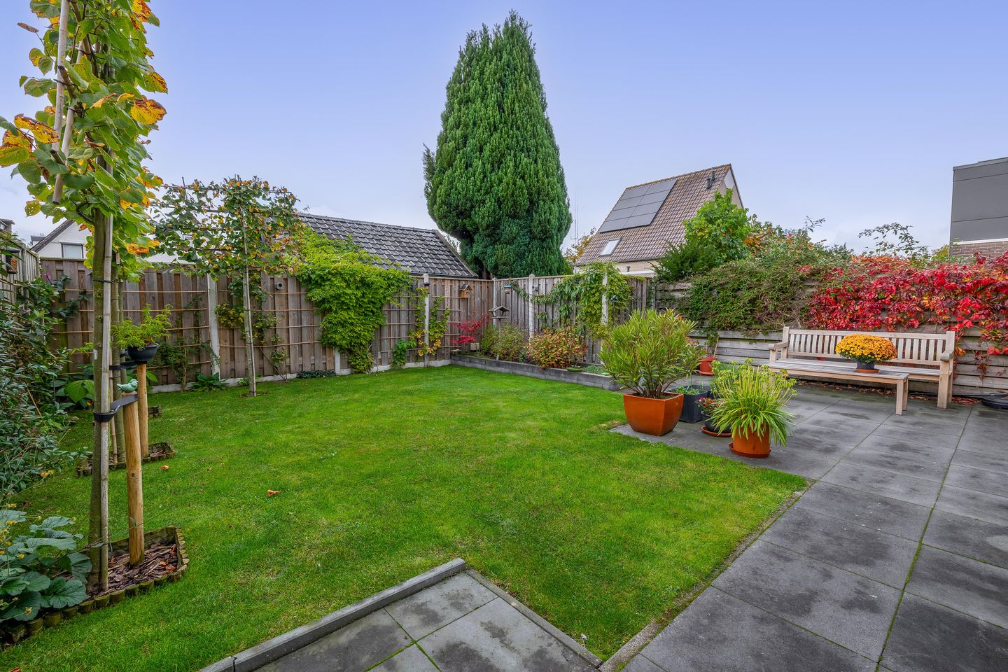 Foto 34 van W. Dassenstraat 5