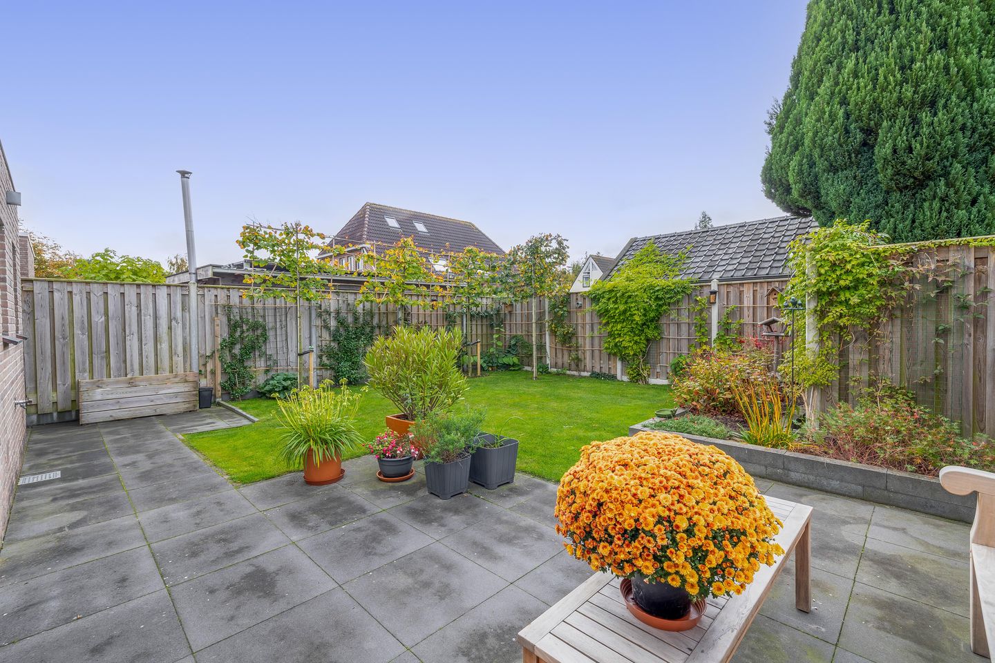 Foto 35 van W. Dassenstraat 5