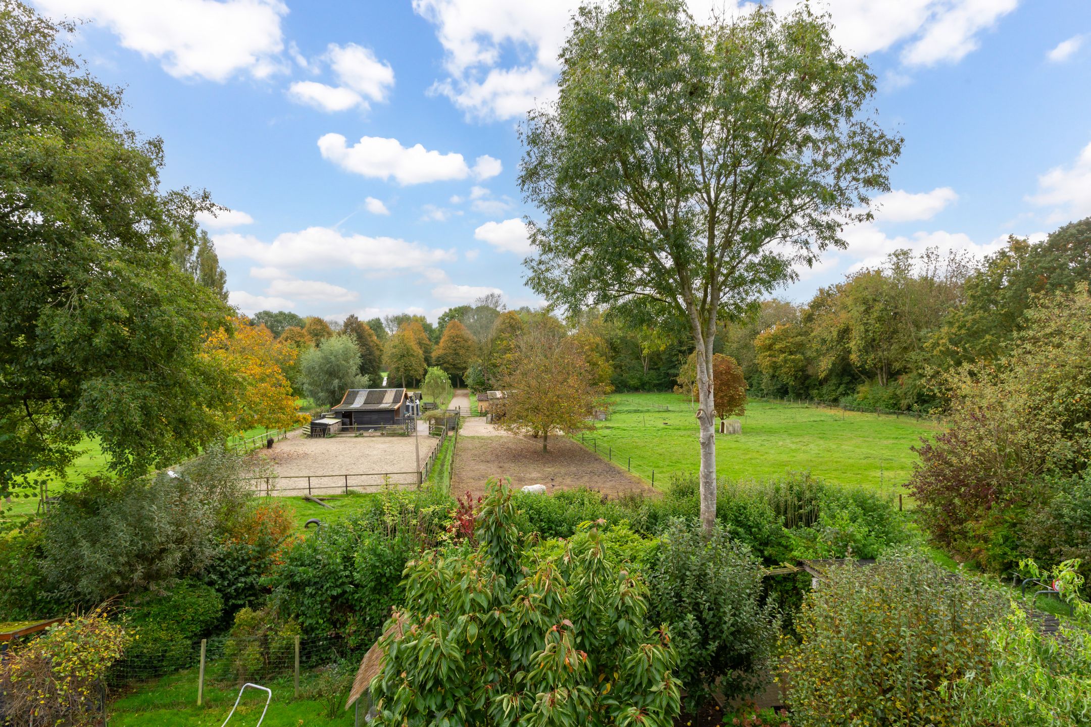 Foto 3 van Grote Haag 41