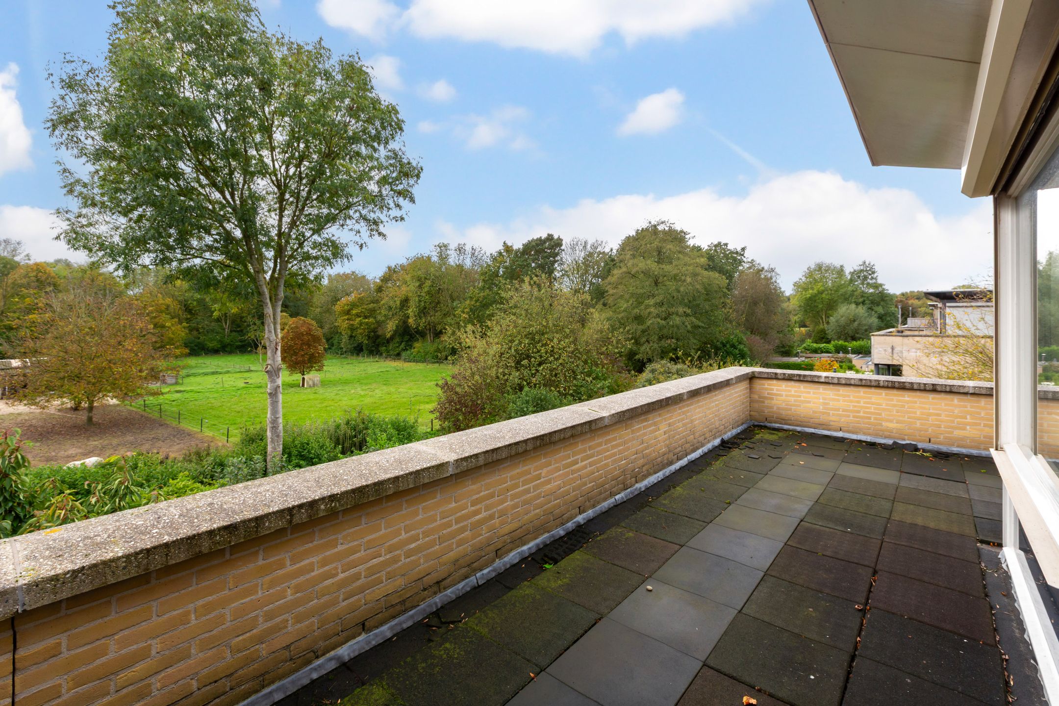 Foto 30 van Grote Haag 41