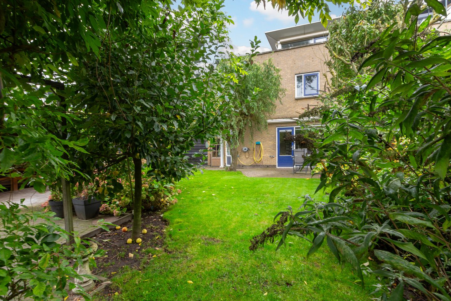 Foto 40 van Grote Haag 41