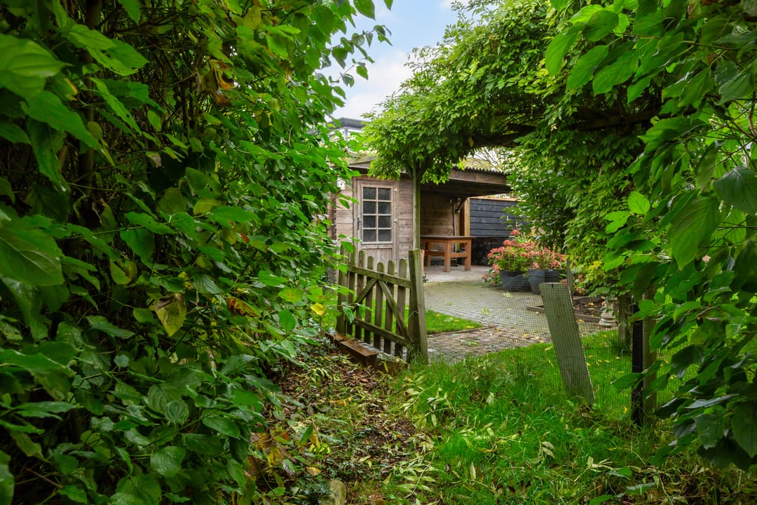 Foto 43 van Grote Haag 41