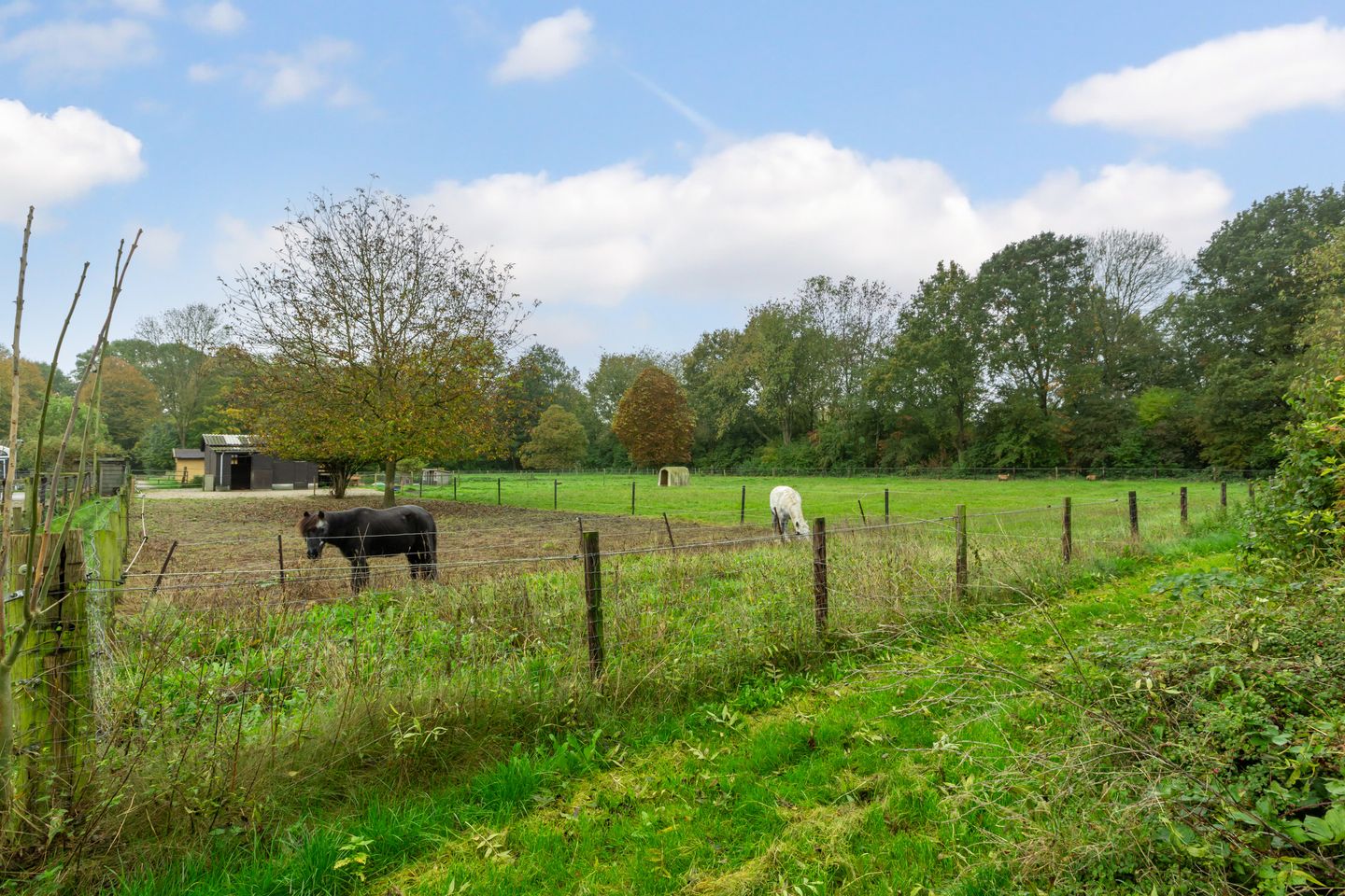 Foto 44 van Grote Haag 41