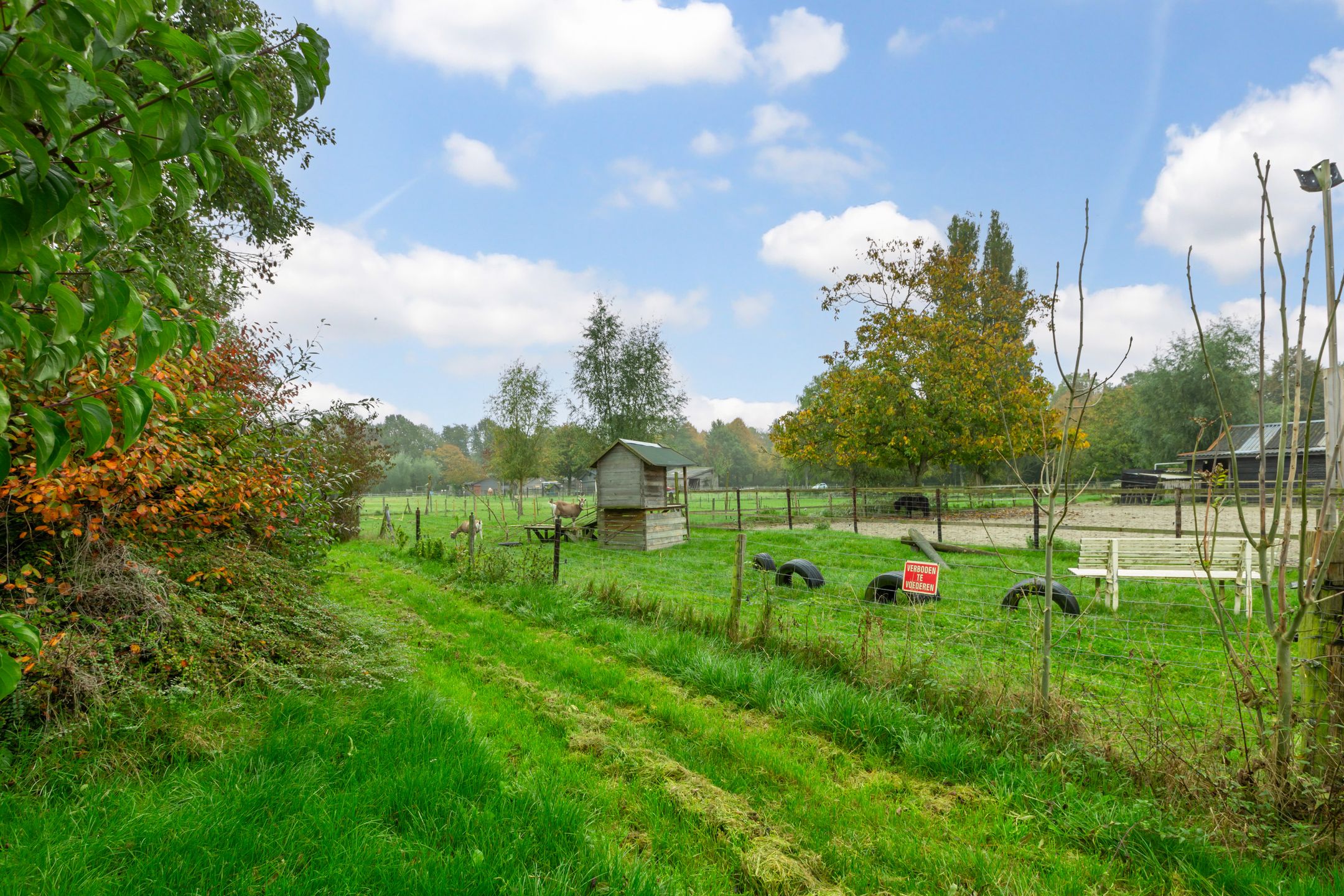 Foto 45 van Grote Haag 41