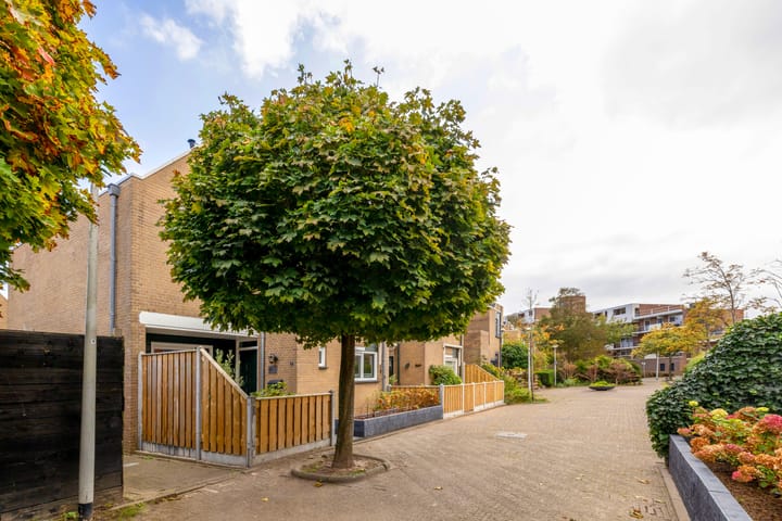 Foto 50 van Draaikolk 7