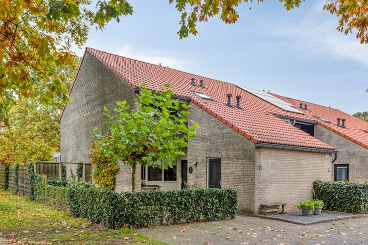 Photo 6 of Stiegert 70