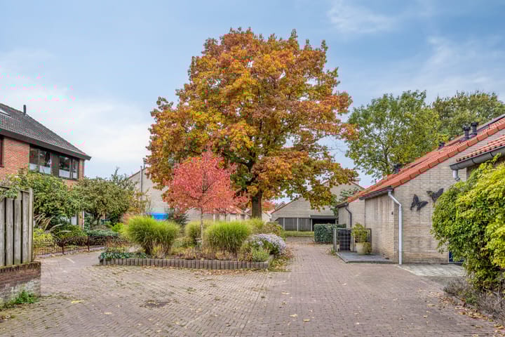 Photo 9 of Stiegert 70