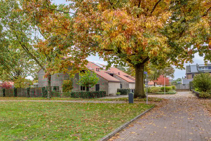 Photo 10 of Stiegert 70