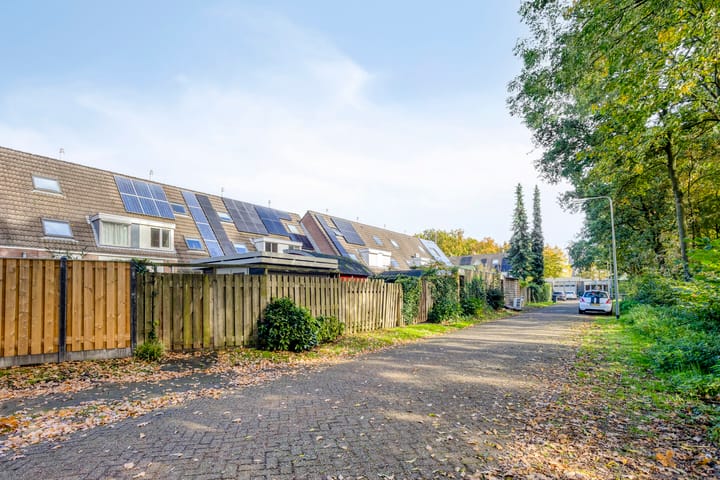 Foto 42 van Topaas 5