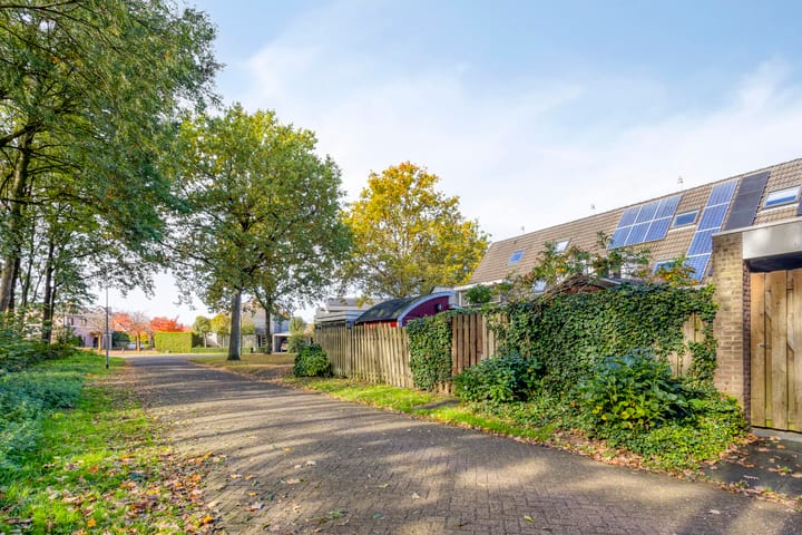 Foto 43 van Topaas 5