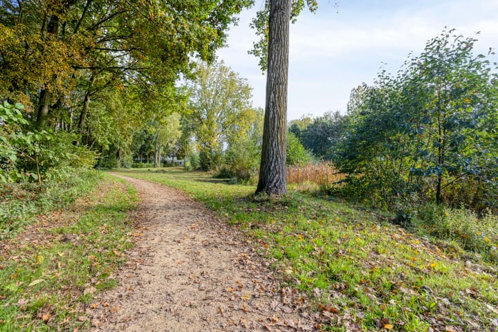 Foto 45 van Topaas 5