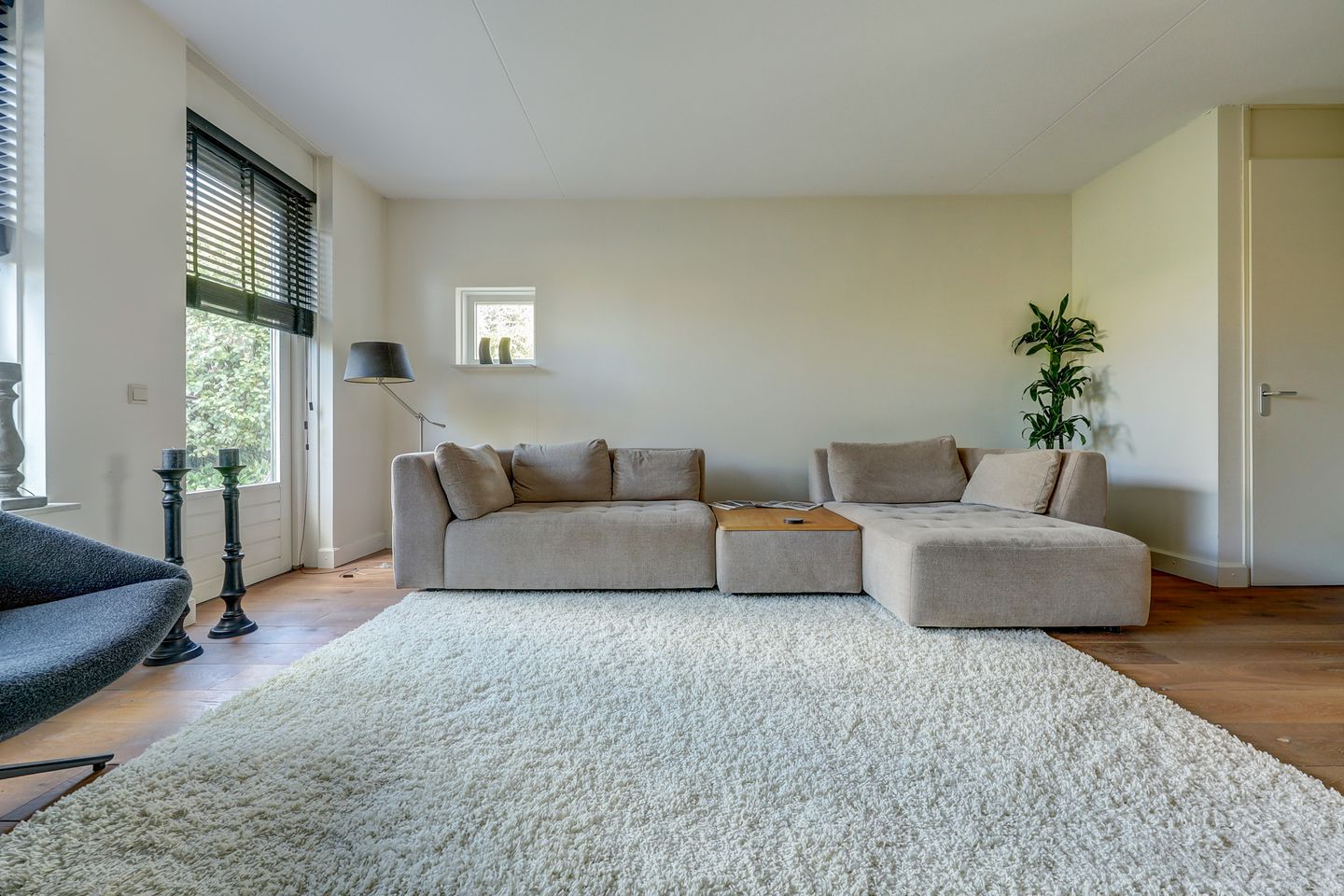 Foto 10 van Cipreshout 12