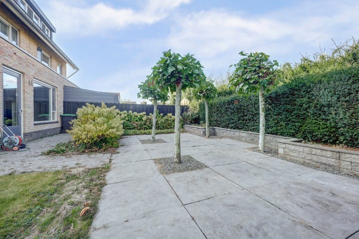 Foto 40 van Cipreshout 12