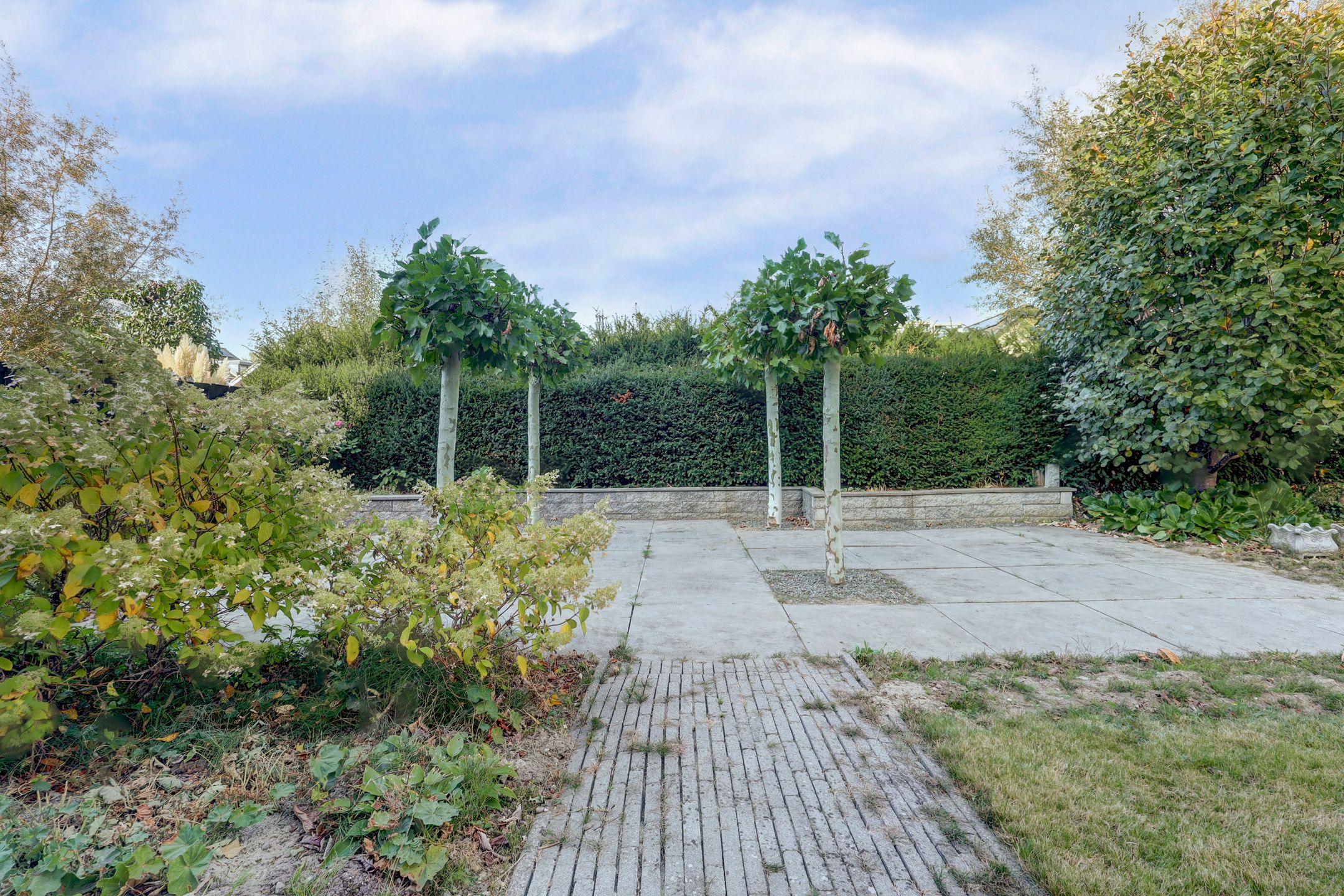 Foto 42 van Cipreshout 12