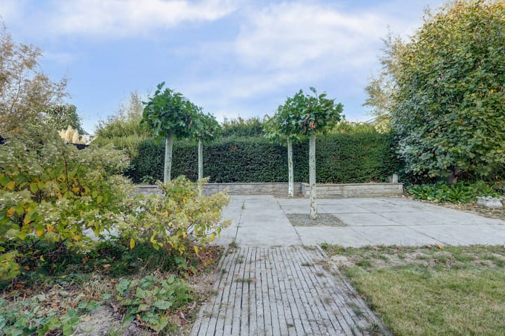 Foto 42 van Cipreshout 12