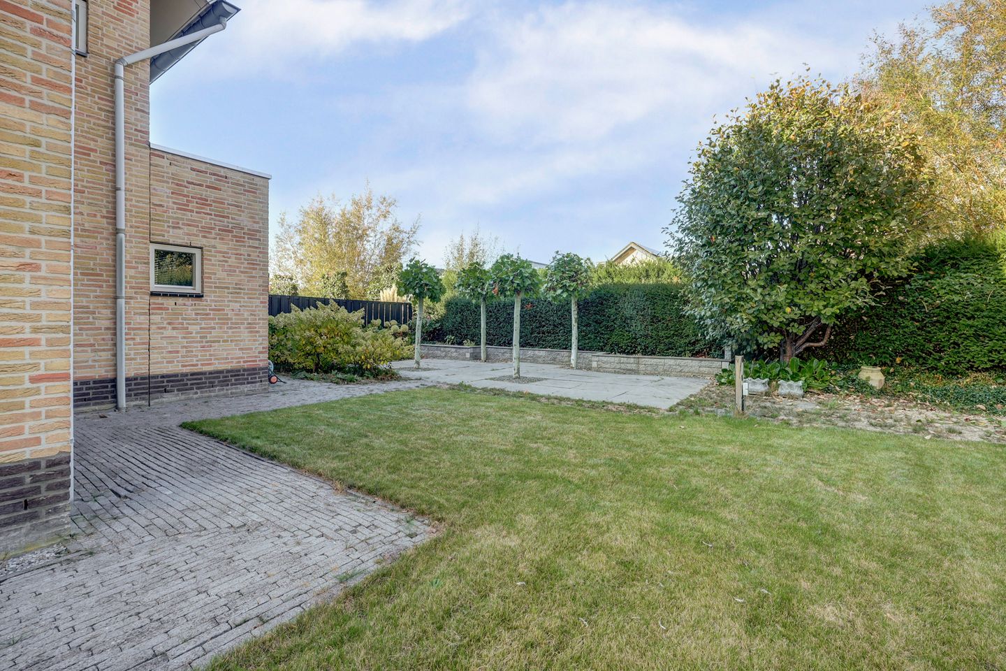 Foto 44 van Cipreshout 12