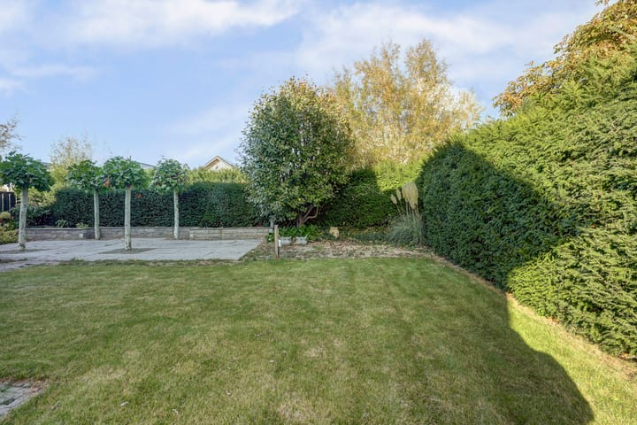 Foto 45 van Cipreshout 12