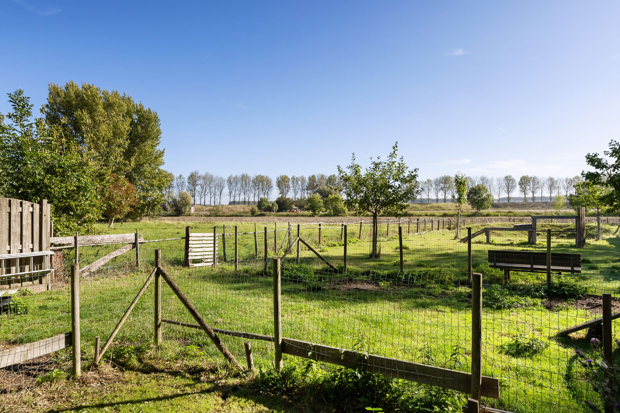 Foto 48 van Dorpsstraat 54