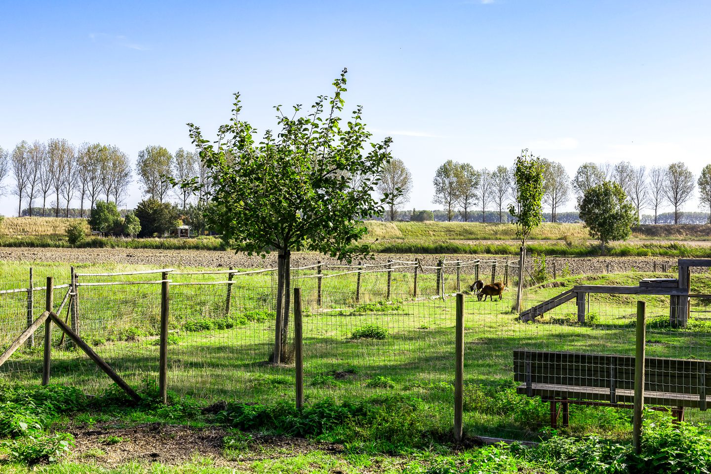 Foto 49 van Dorpsstraat 54