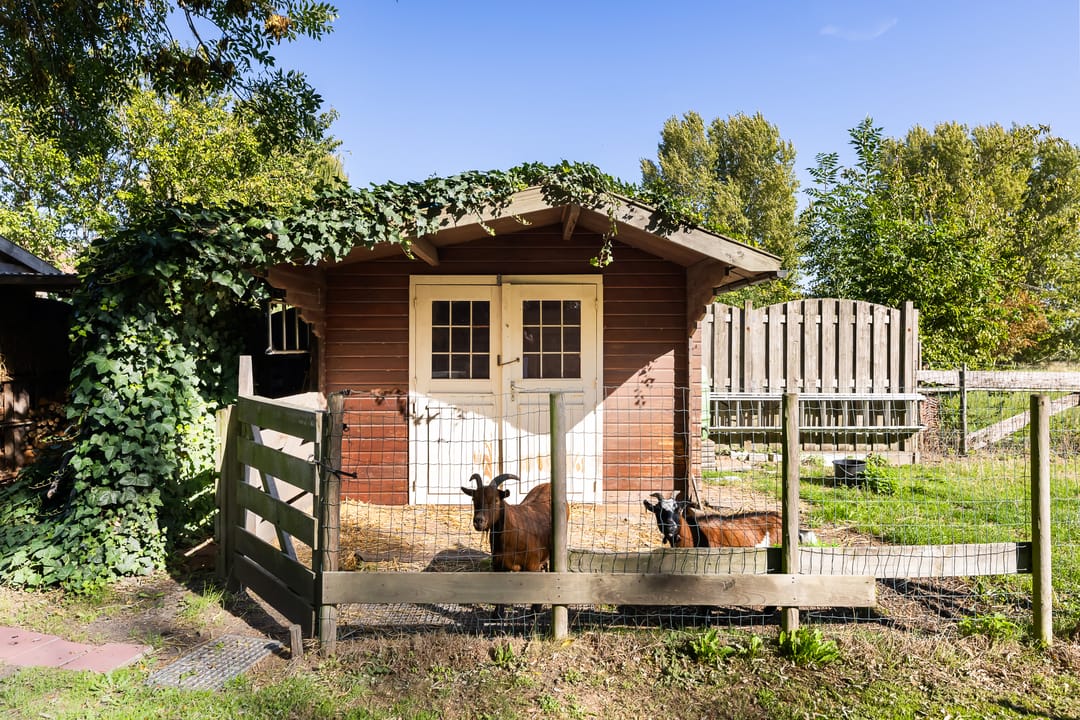 Foto 52 van Dorpsstraat 54