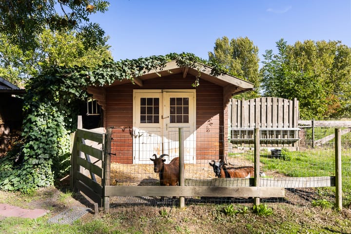 Foto 52 van Dorpsstraat 54