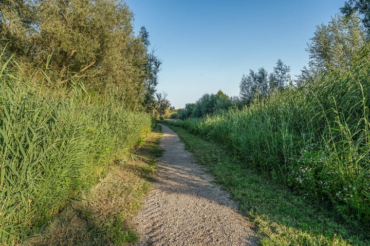 Foto 15 van Floridaweg 22-H