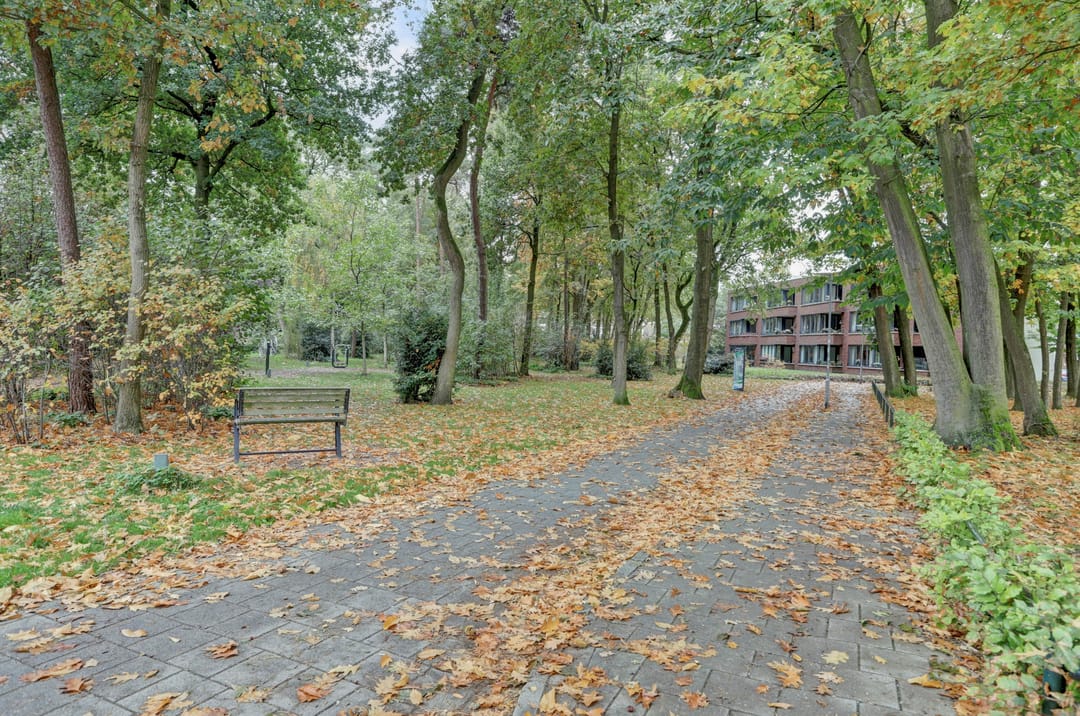 Foto 46 van Looierwei 29