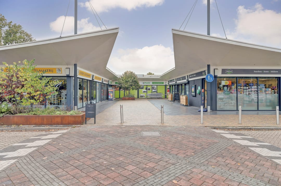 Foto 47 van Looierwei 29