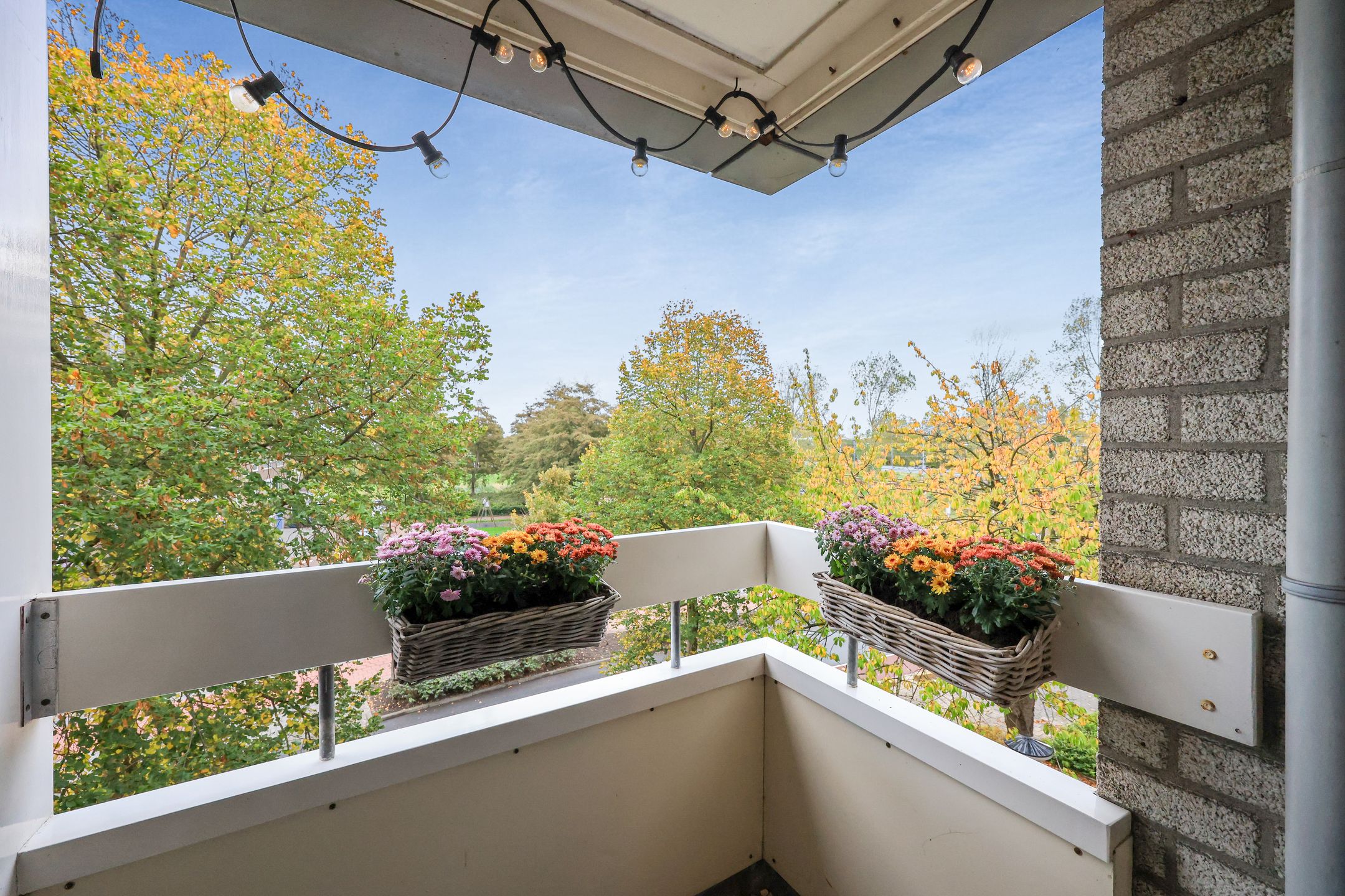 Foto 12 van Schans 63