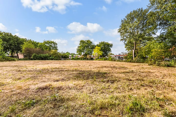 Foto 26 van Van Riebeekstraat 2