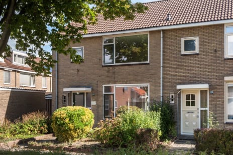 undefined main image