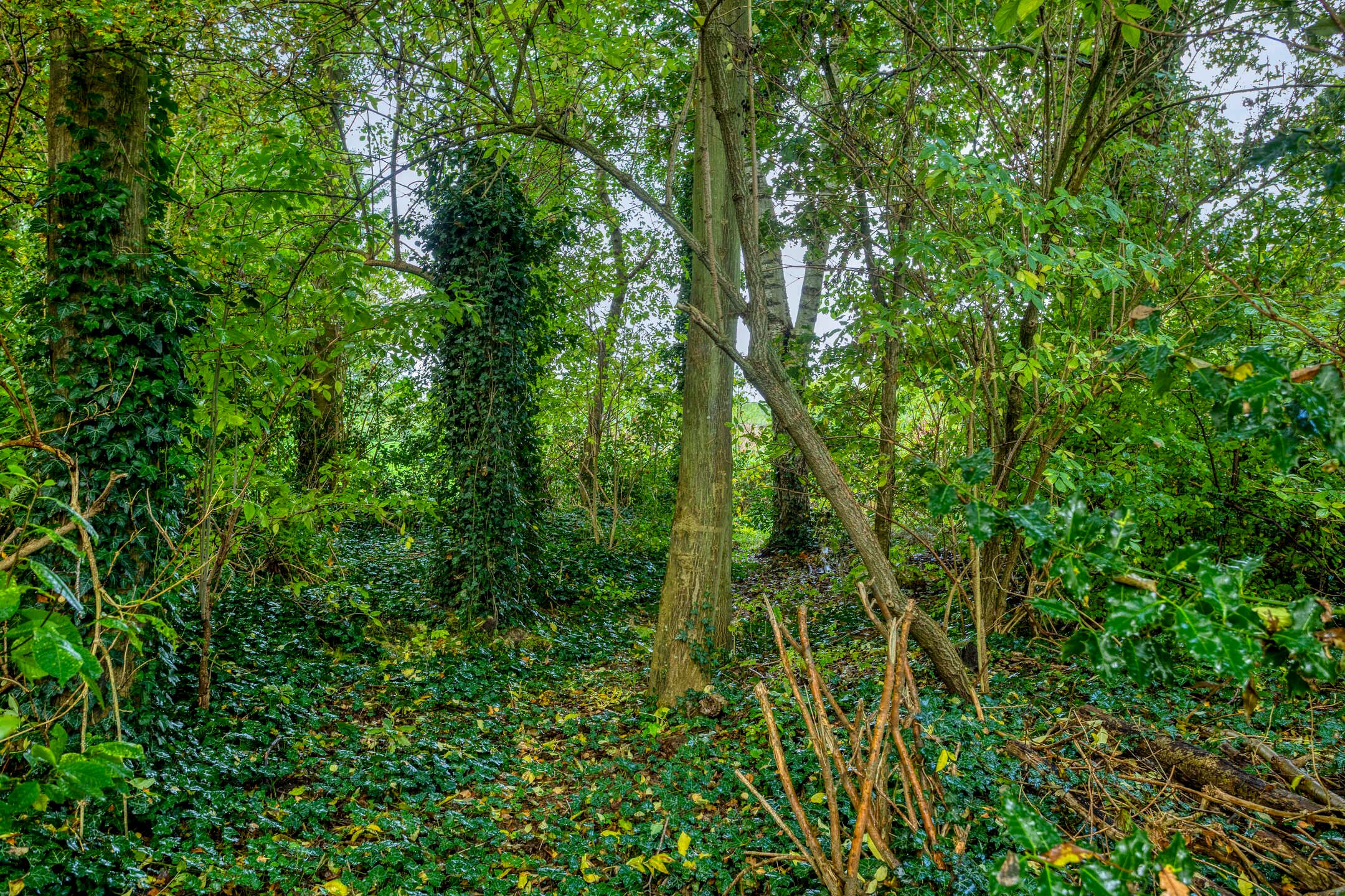 Foto 45 van Badweg 34