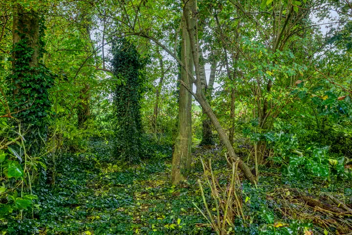 Foto 45 van Badweg 34