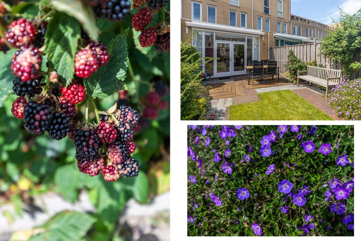 Foto 13 van Strijplaan 220