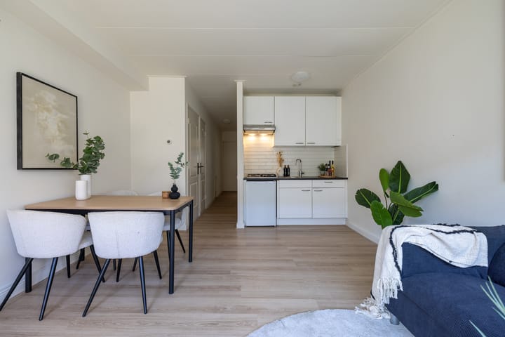 Foto 3 van Polanenstraat 19-B