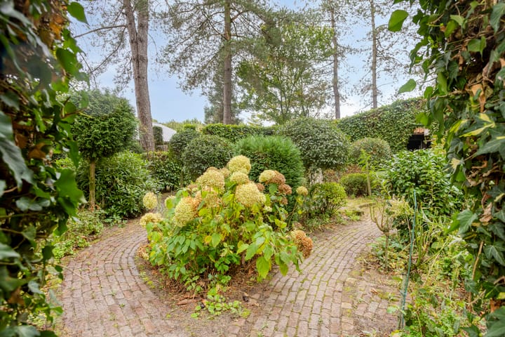 Foto 55 van Dennenweg 5