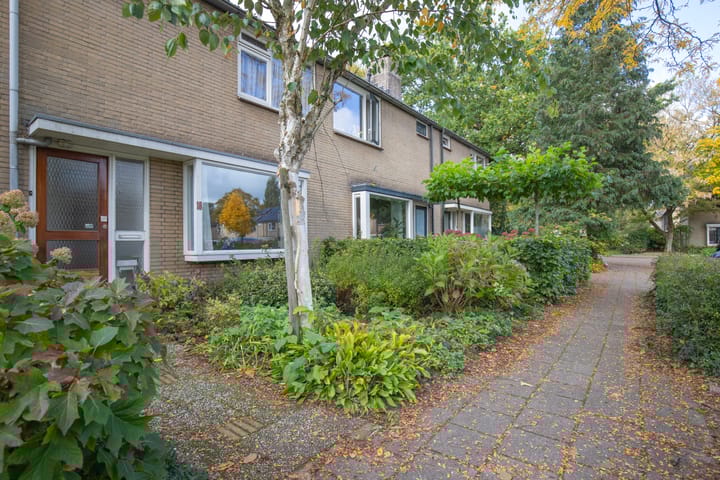 Foto 31 van Buntlaan 18