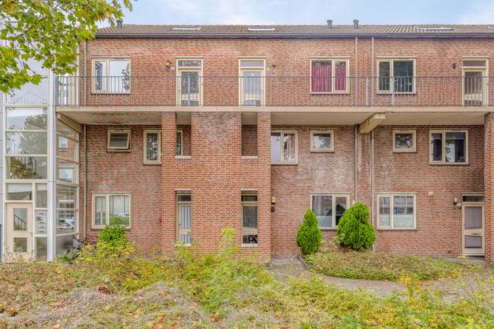 Foto 9 van Weg door de Rijpel 101