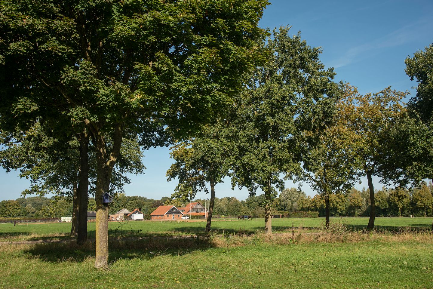 Foto 35 van Liverpoolstraat 46