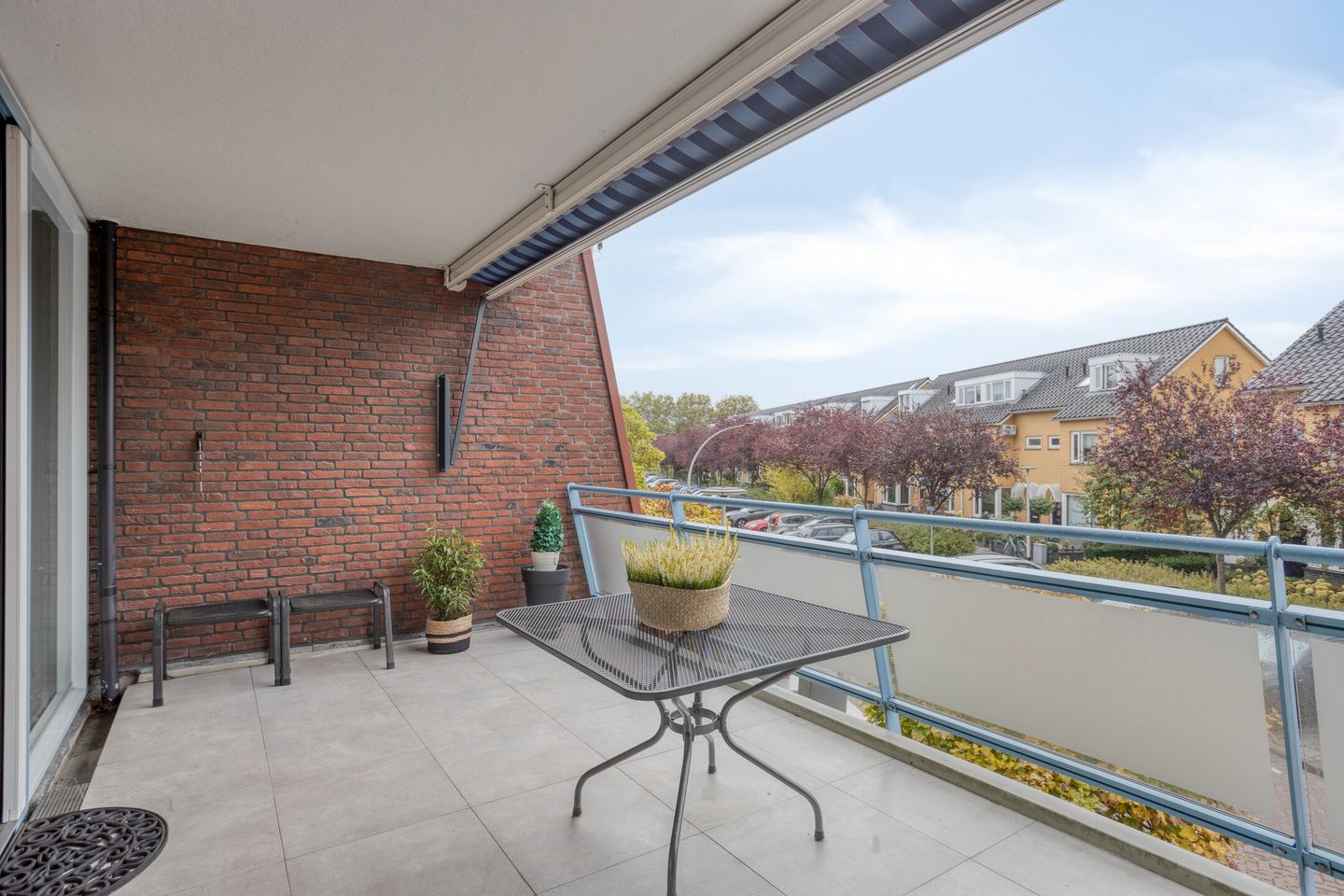 Foto 4 van Hopklaver 40