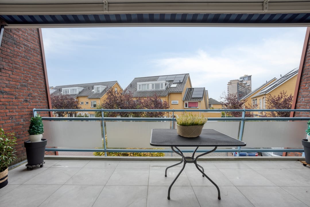 Foto 13 van Hopklaver 40