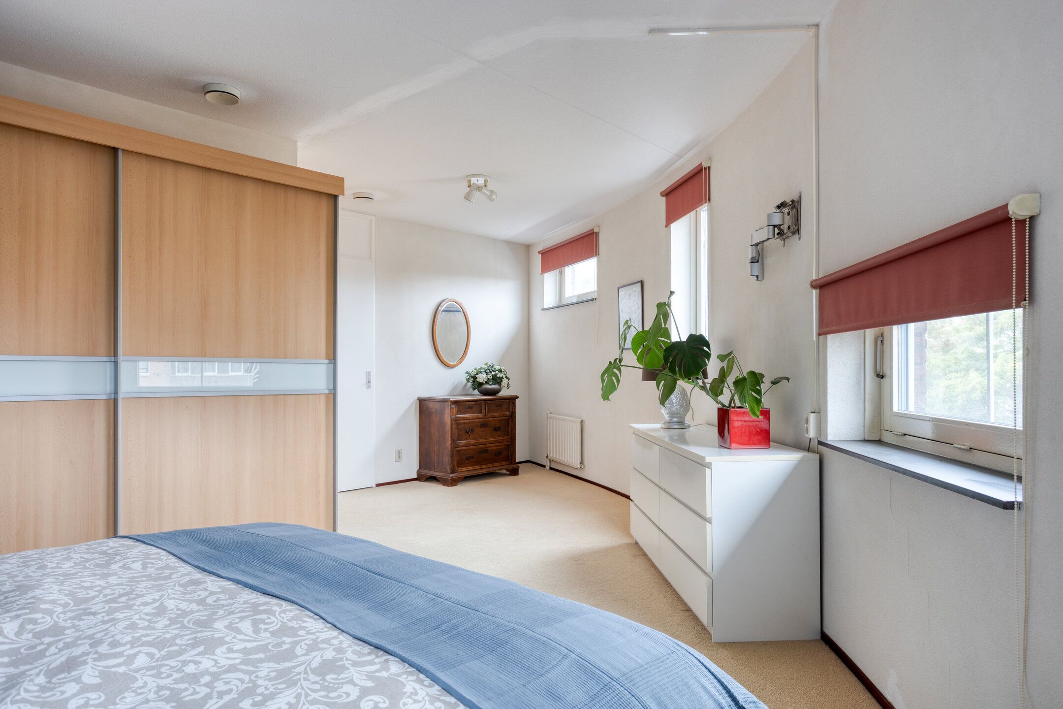 Foto 15 van Hopklaver 40